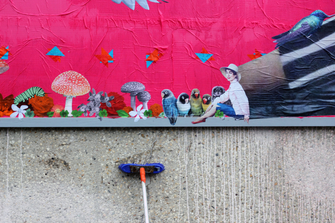 Collage de Inconnu, Juillet 2013 — M.U.R Saint-Étienne
